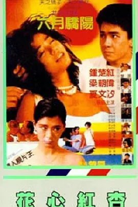 日韩成人在线观看视频